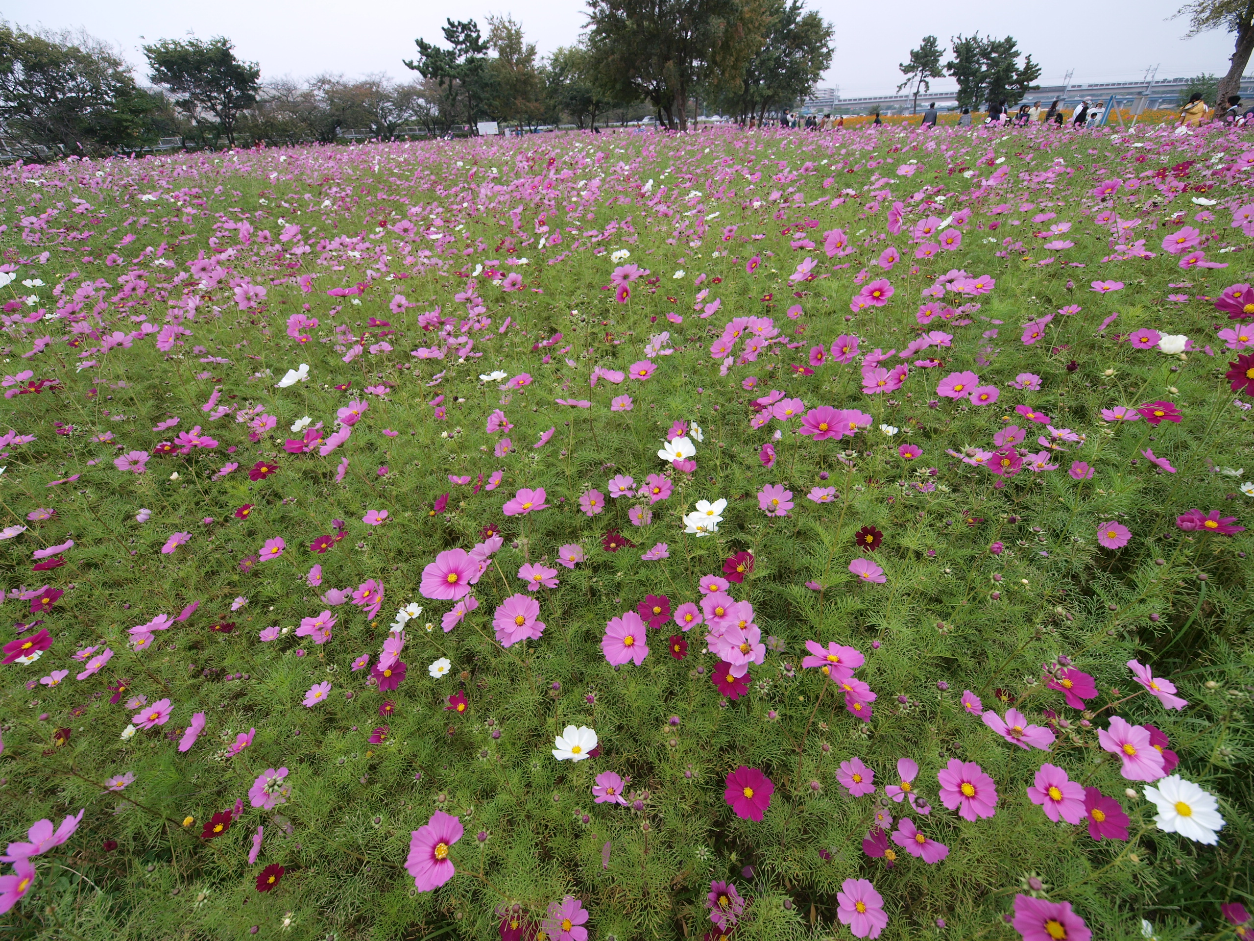 PB032013.JPG